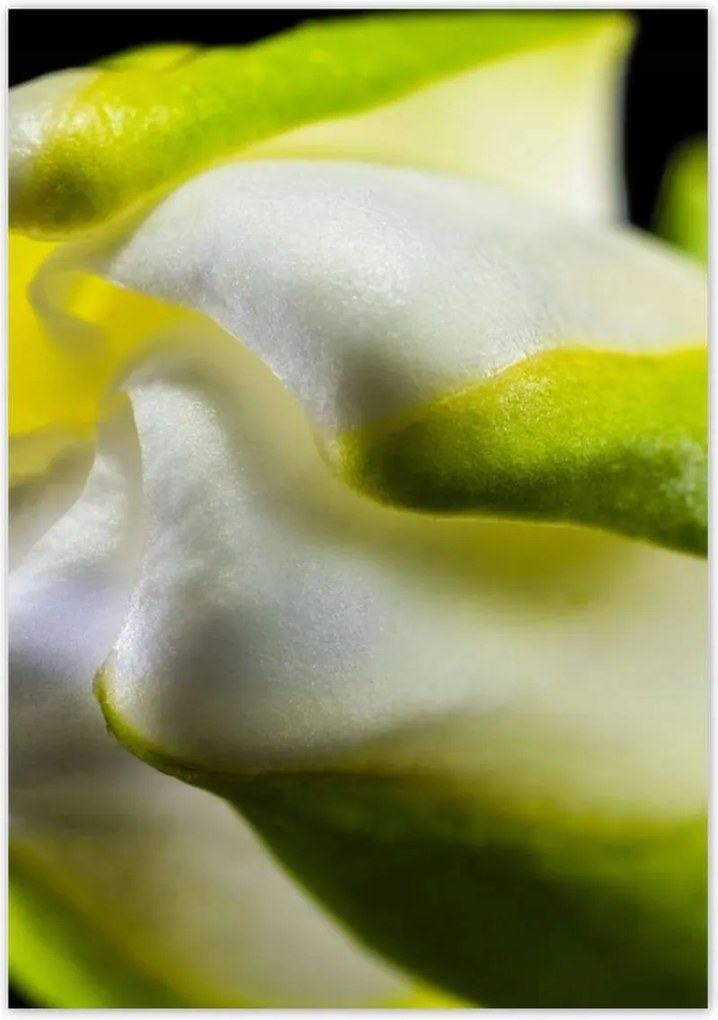 Poszterek 70x100 Nőnap Ajándék Love