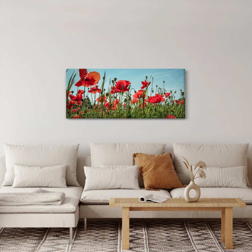 Kép - Pipacsos mező (120x50 cm)