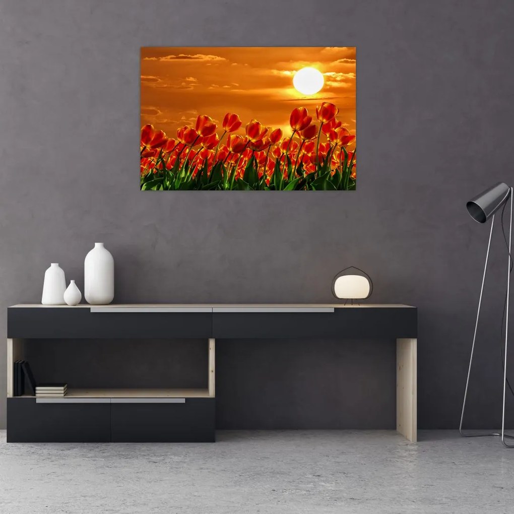 Kép egy virágzó mező tulipánokkal (90x60 cm)