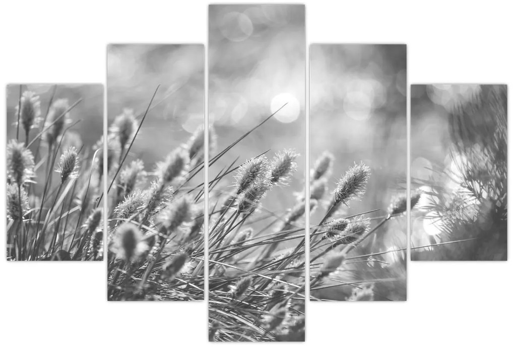 Kép - Bézs színű puha fű N⁰1 (150x105 cm)