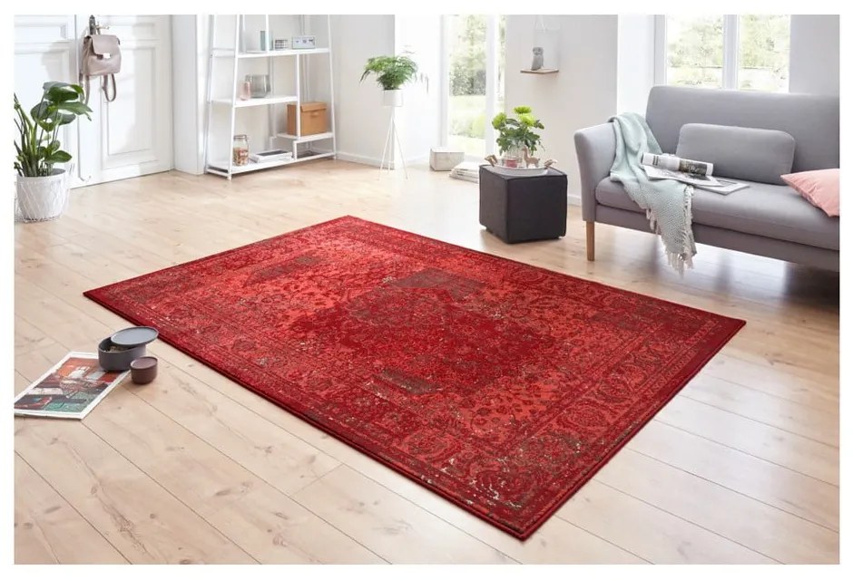 Celebration Plume piros szőnyeg, 160 x 230 cm - Hanse Home