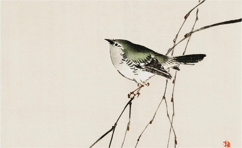 Dekoratív fotótapéta az irodába Harmonikus madár 416x254 Ragasztó