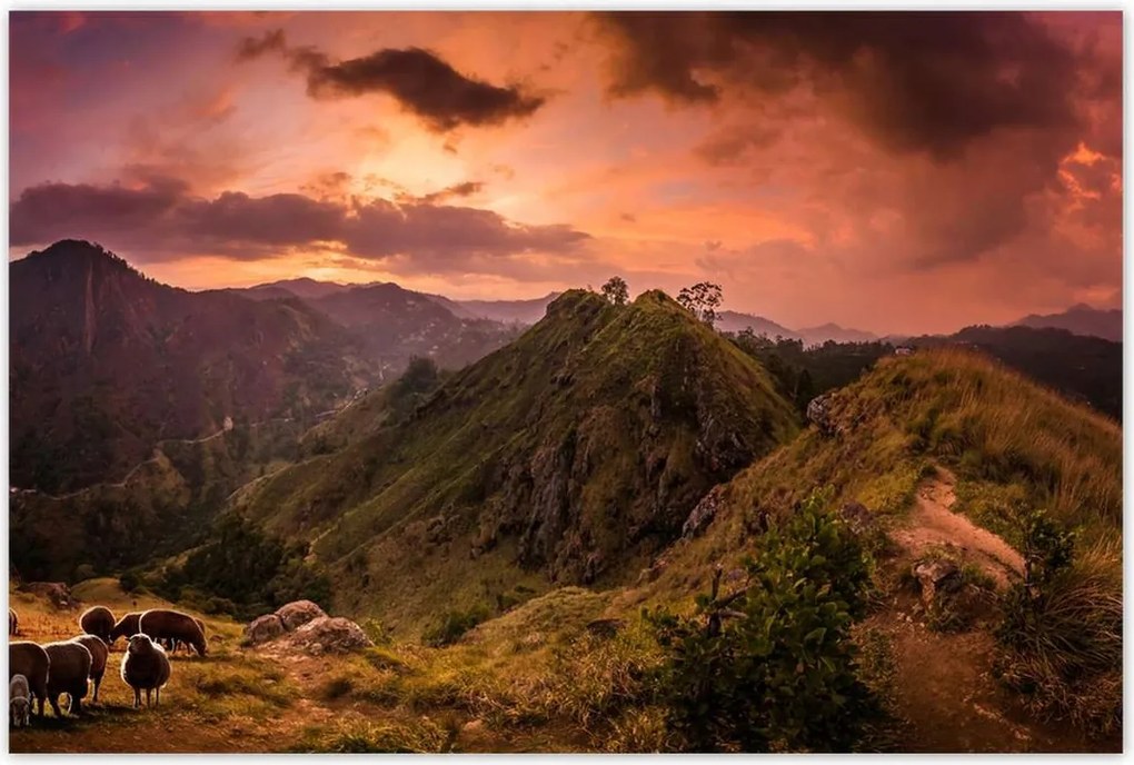 Poszterek 120x80 Tájkép bárányhegyekkel