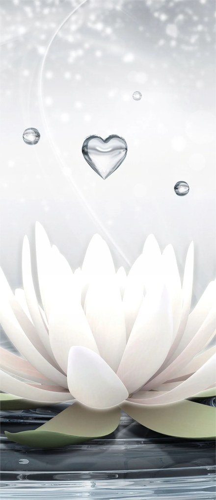 Matrica Fotótapéta Fehér lótuszok a vízen harmónia relaxáció 91x211