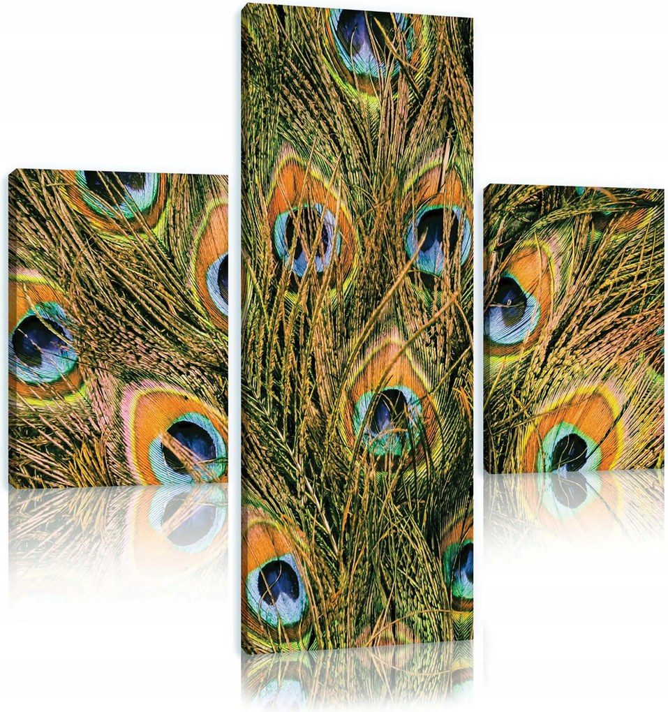 Vászonkép 80x80 Páva tollak triptichon keret nélkül színes luxus minta természet