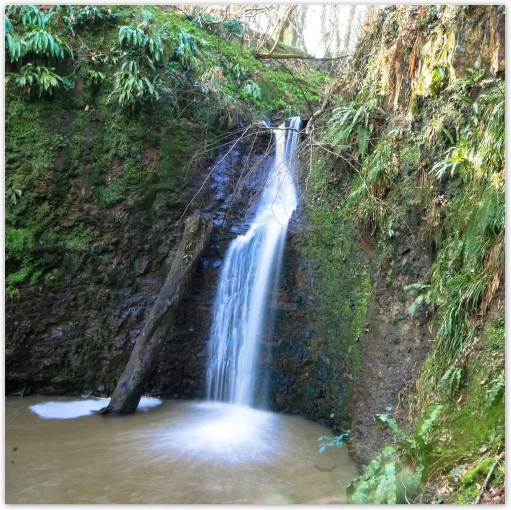 Poszterek 100x100 Szép zuhatag