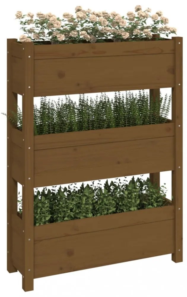 mézbarna tömör fenyőfa növénytartó 77x25x104,5 cm