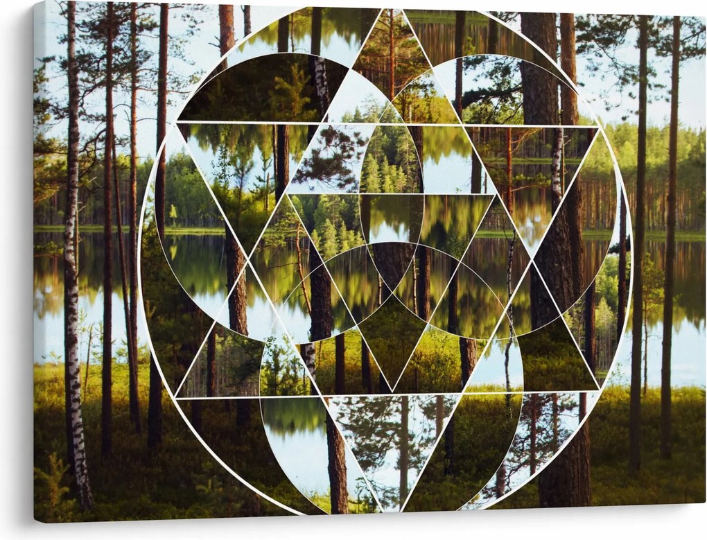 Kép - Geometrikus kollázs a skandináv erdők hátterében (70x50 cm)