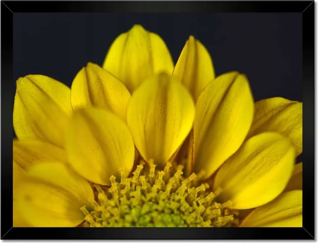 Poszterek keretben 40x30 Nőnap Ajándék Love