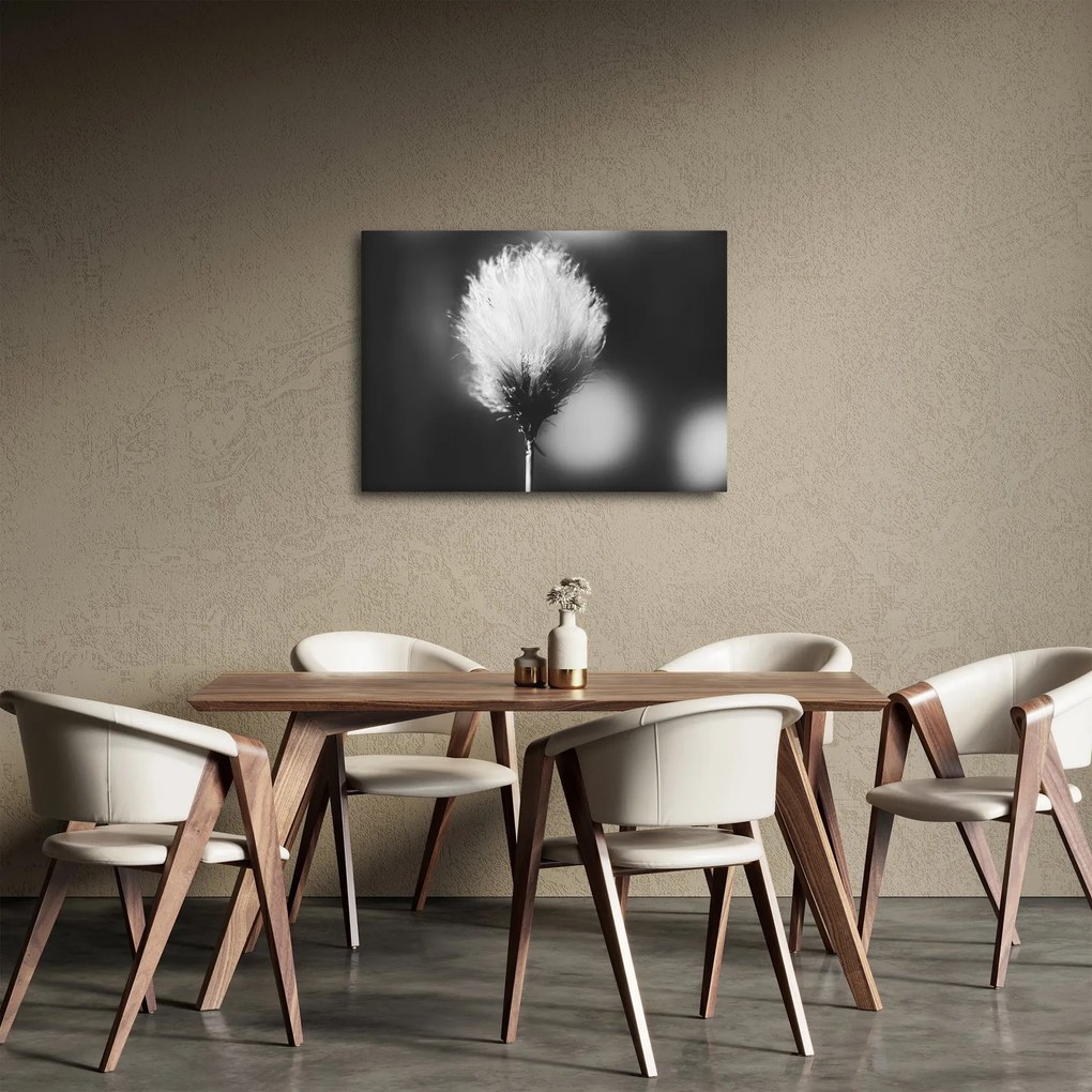 Kép - Fekete-fehér pamutfű (70x50 cm)