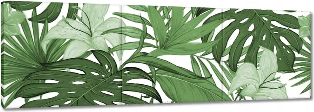Vászonkép 60x20 Monstera Modern minta