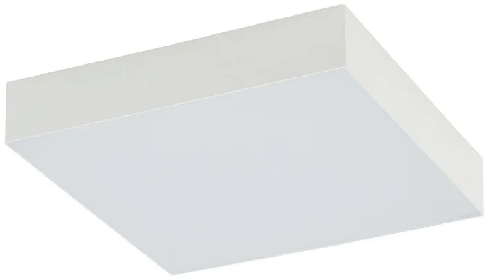 Lid