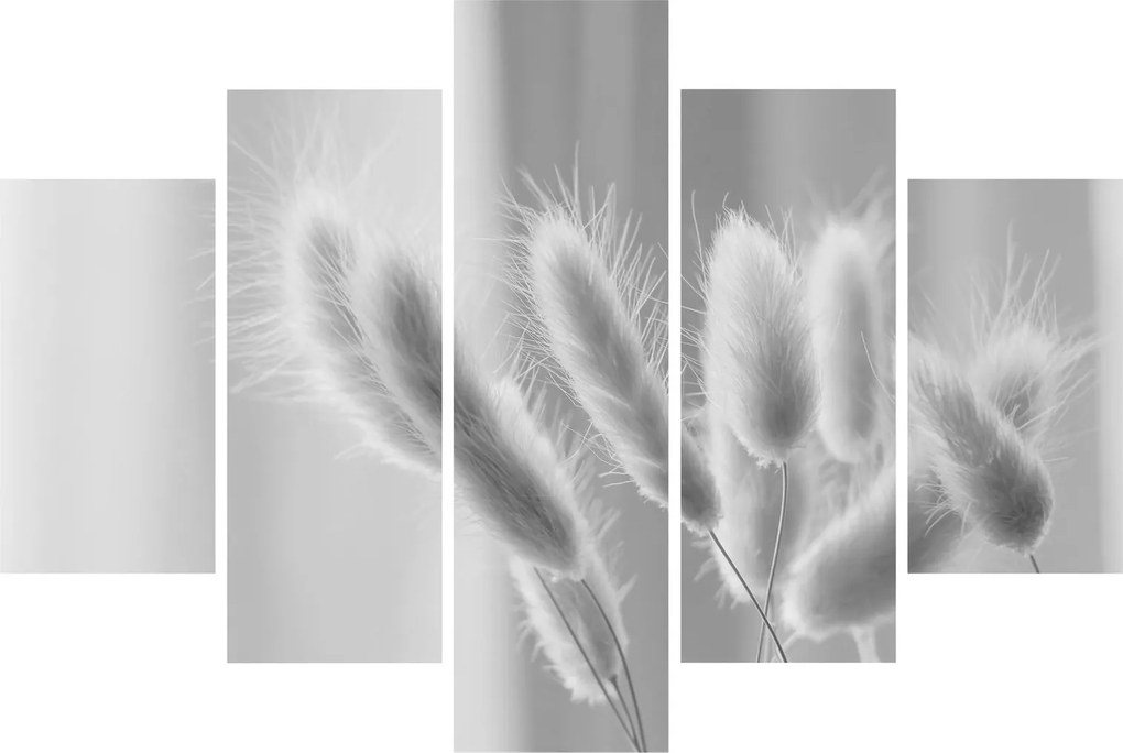 Kép - Nyuszi farok fű (150x105 cm)