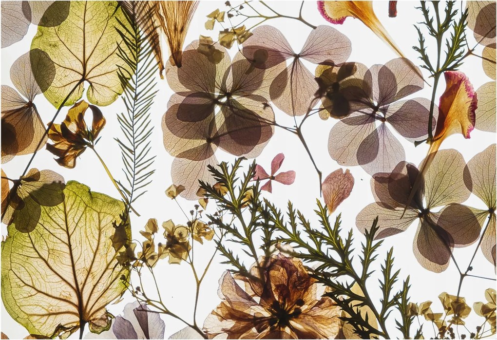 Fali fotótapéta Flizelina a konyhába Természetes kompozíció 152x104 Ragasztó