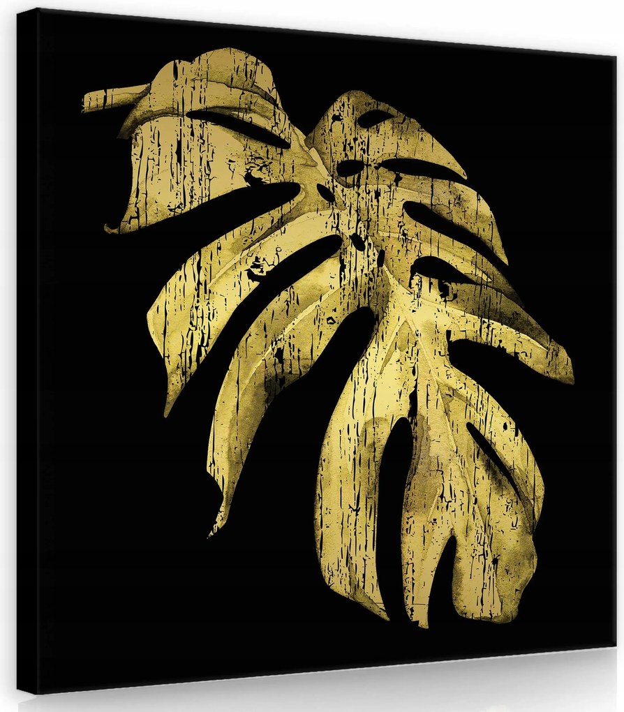 Vászonkép 40x40 Arany levél monster fekete háttér minimalizmus elegancia luxus