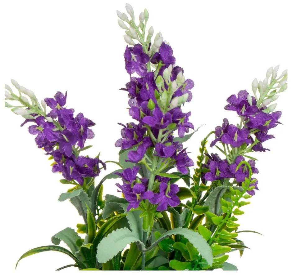 Levendula műnövény (magasság 30 cm) Lavender – Casa Selección