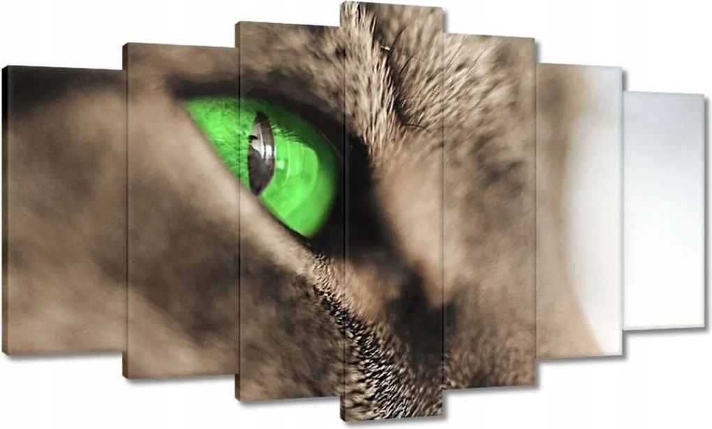 Festmények 140x80 Macska tekintet