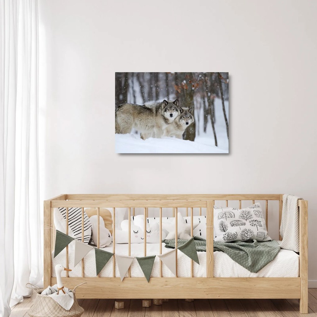 Üveg kép - Farkasok télen (70x50 cm)