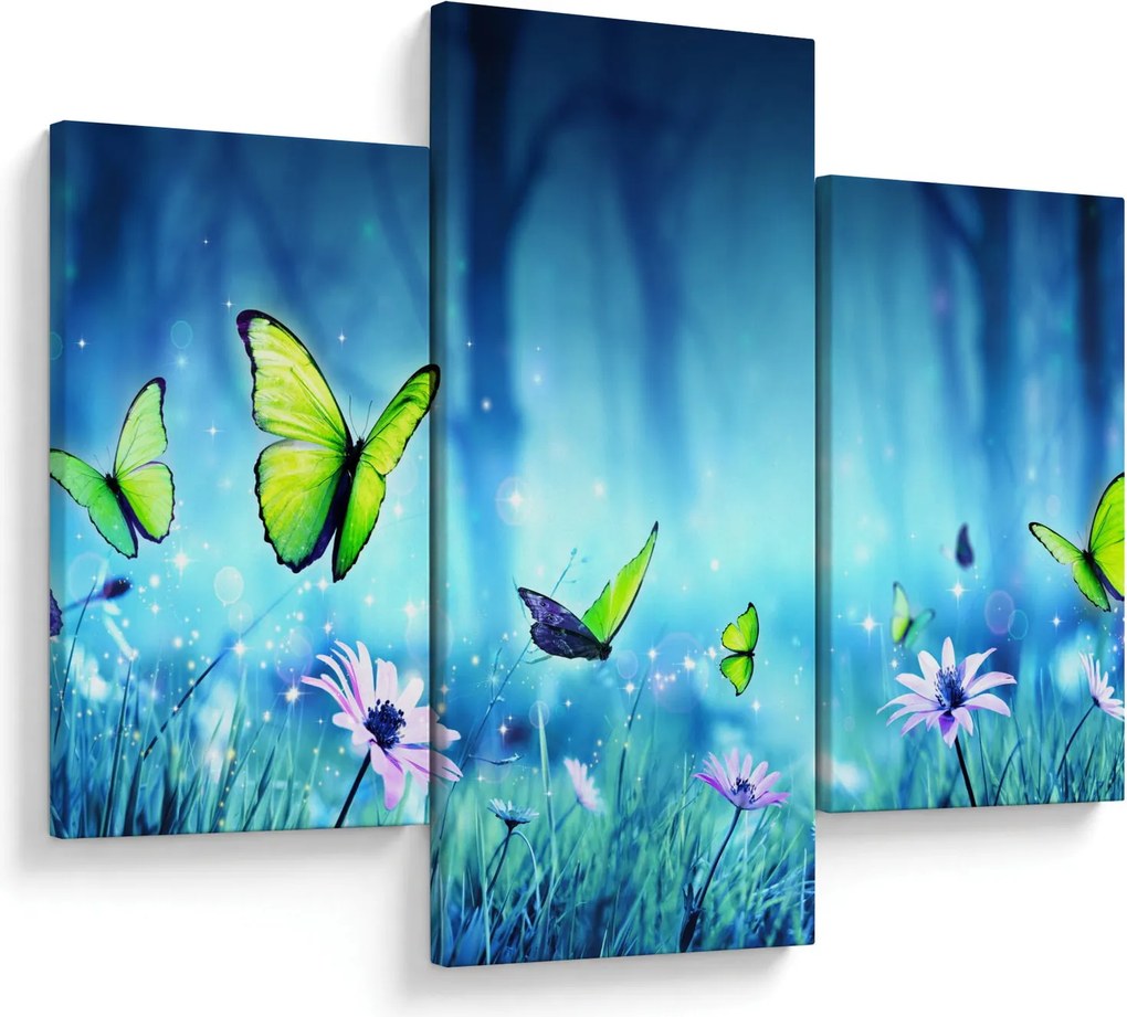 Kép - Misztikus erdei tisztás (90x60 cm)