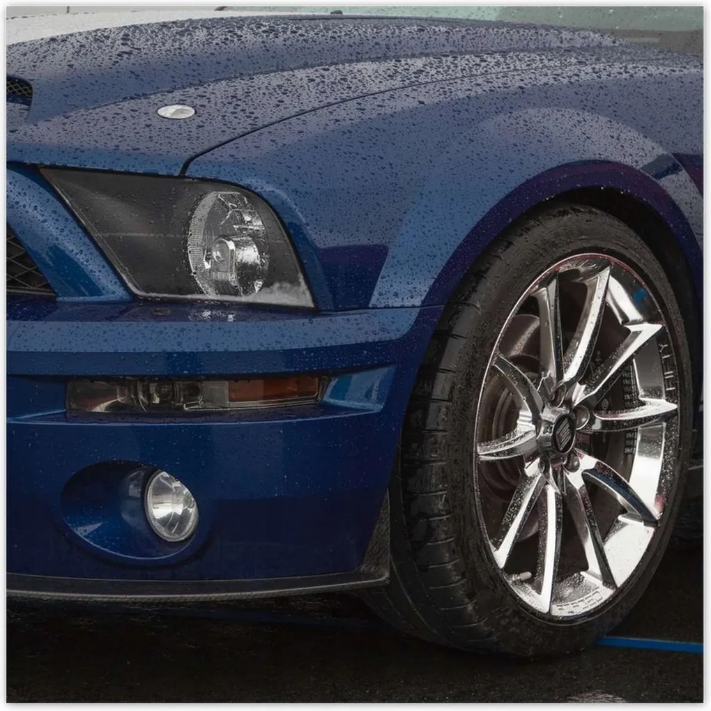 Poszterek 100x100 Ford Mustang Autó