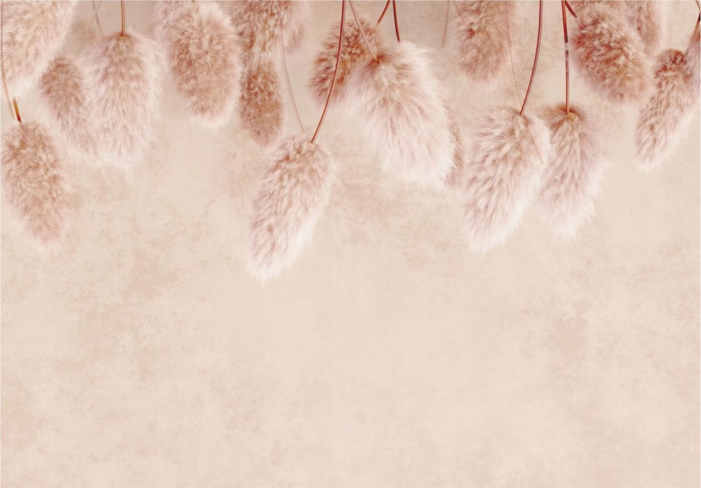 Boho Fű fotótapéta Hálószoba Nappaliba 254x184