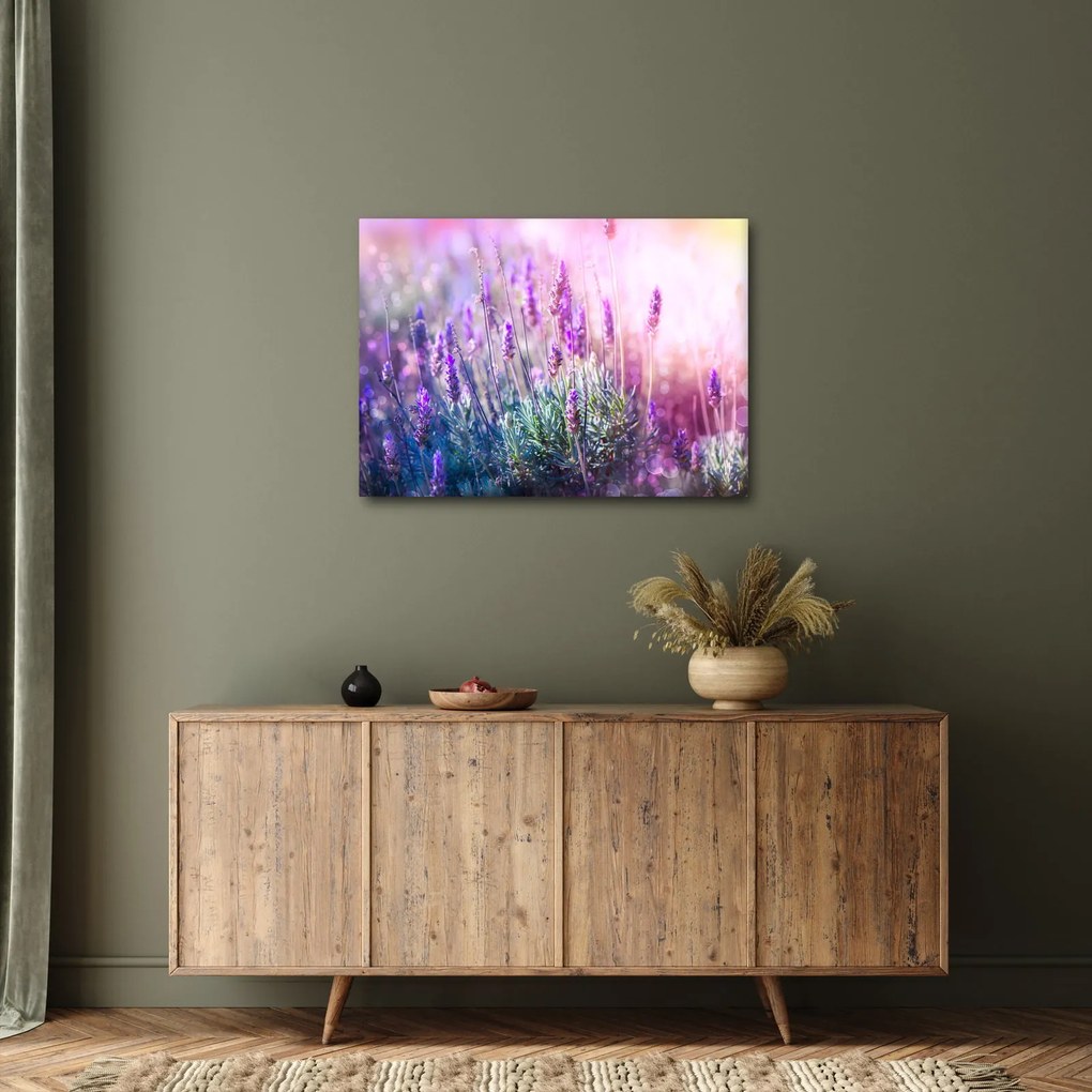 Kép - Levendula a csillogó napban (70x50 cm)