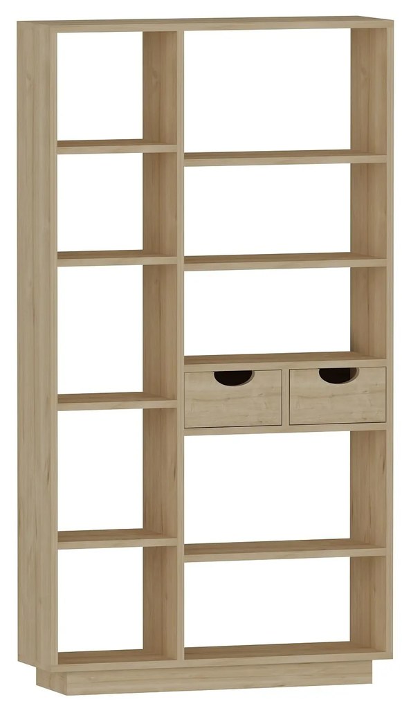 Regál Mubede (tölgy) . 1093001