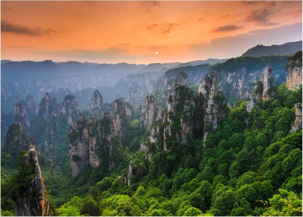 Üveg kép - Zhangjiajie Nemzeti Erdei Park (70x50 cm)
