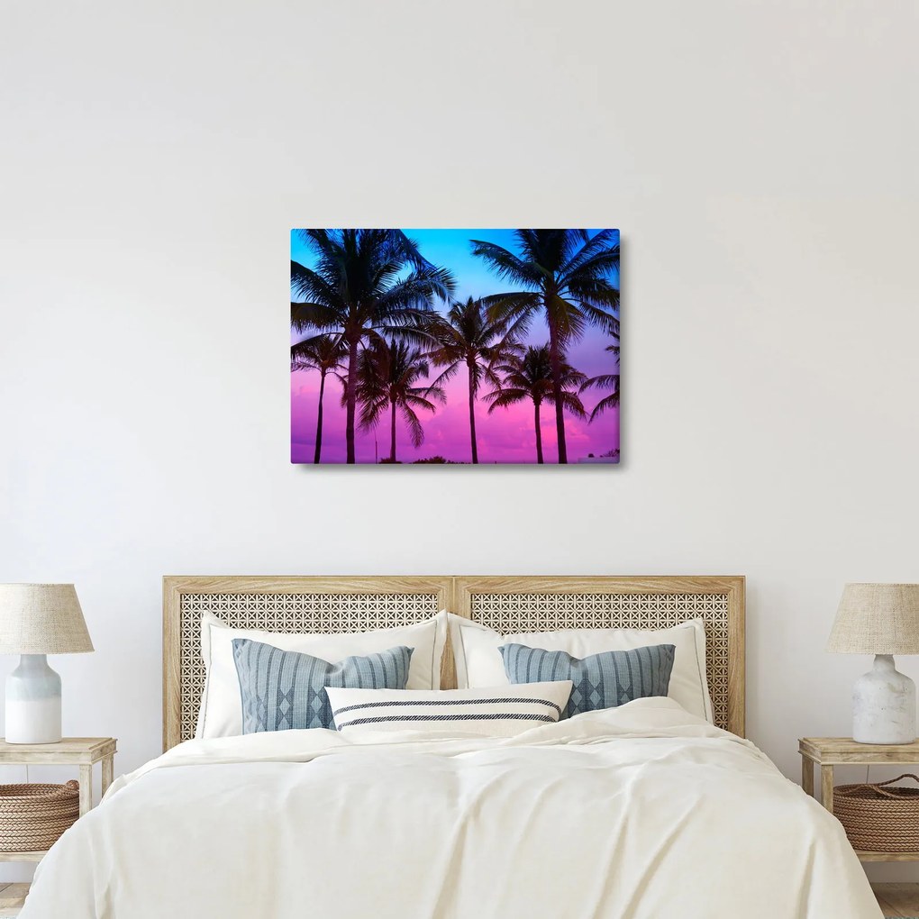 Kép - Pálmafák Miamiban (70x50 cm)
