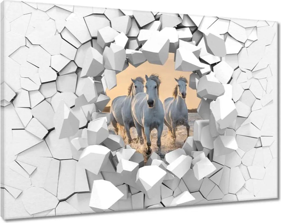 Vászonkép 90x60 Vad lovak Wild Horses