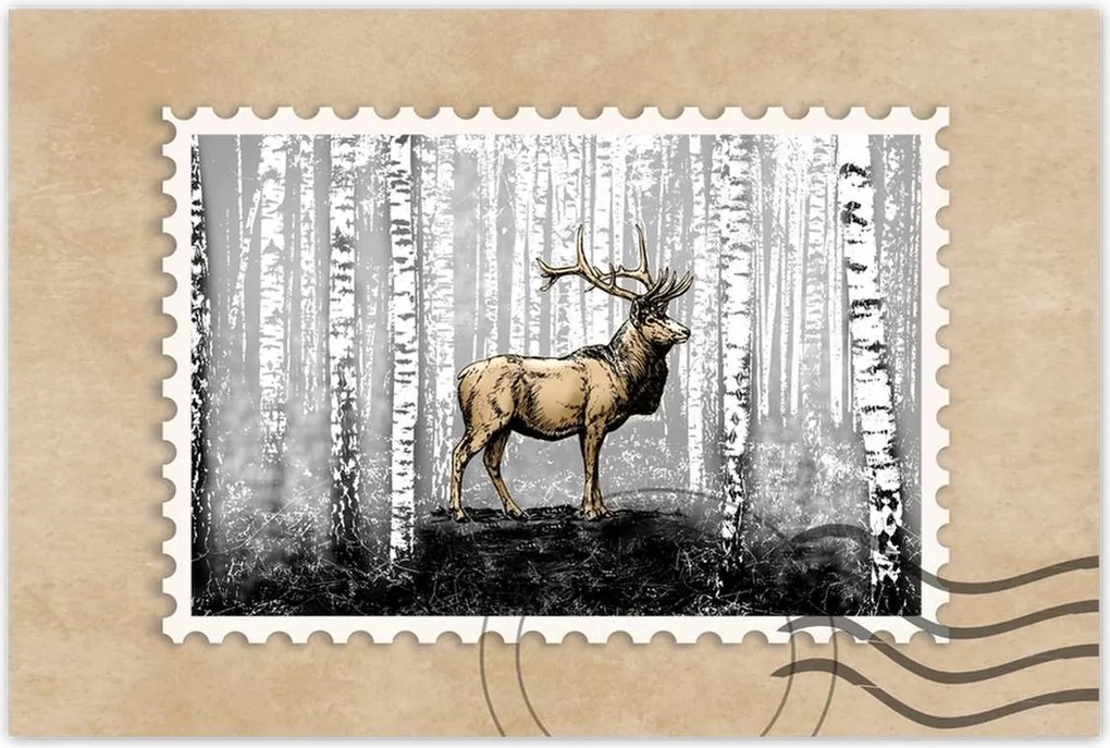 Poszter 60x40 Szarvas Nyírfa Erdő