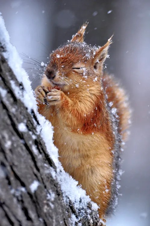 Fotográfia Winter, Ervin Kobakçi