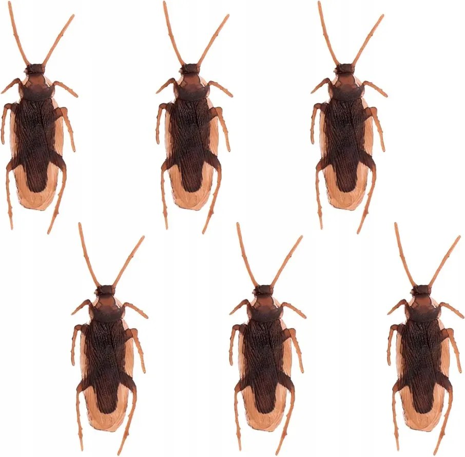 6 darabos műanyag csótánykészlet