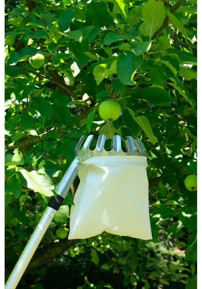 Gyümölcsszedő – Garden Pleasure