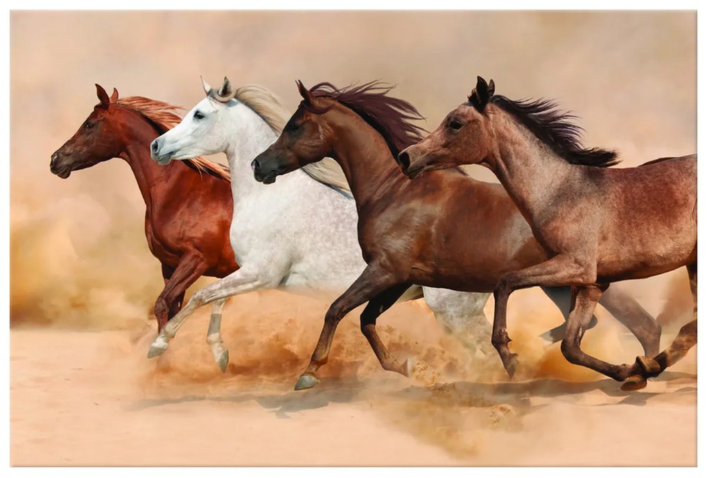 Gario Vászonkép Gyönyöru lovak állománya Méret: 100 x 70 cm