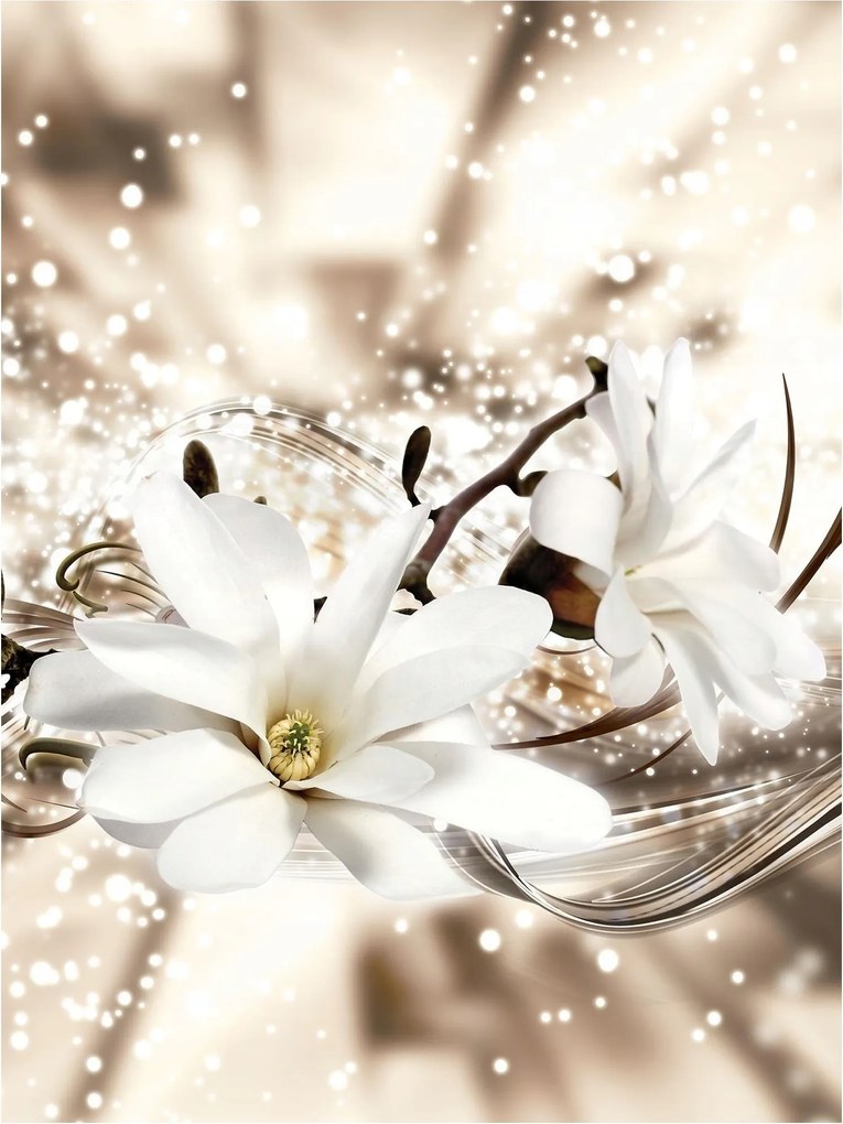 Fotótapéta virágok levelek fotótapéta 206 x 275