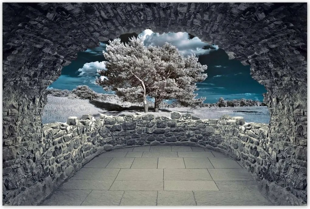 Poszterek 60x40 Fenséges fa