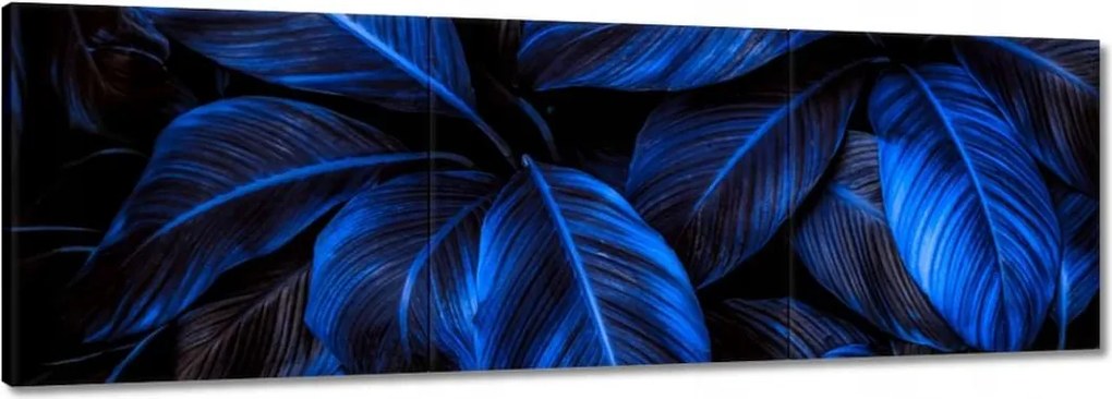 Vászonkép 90x30 Kék levelek