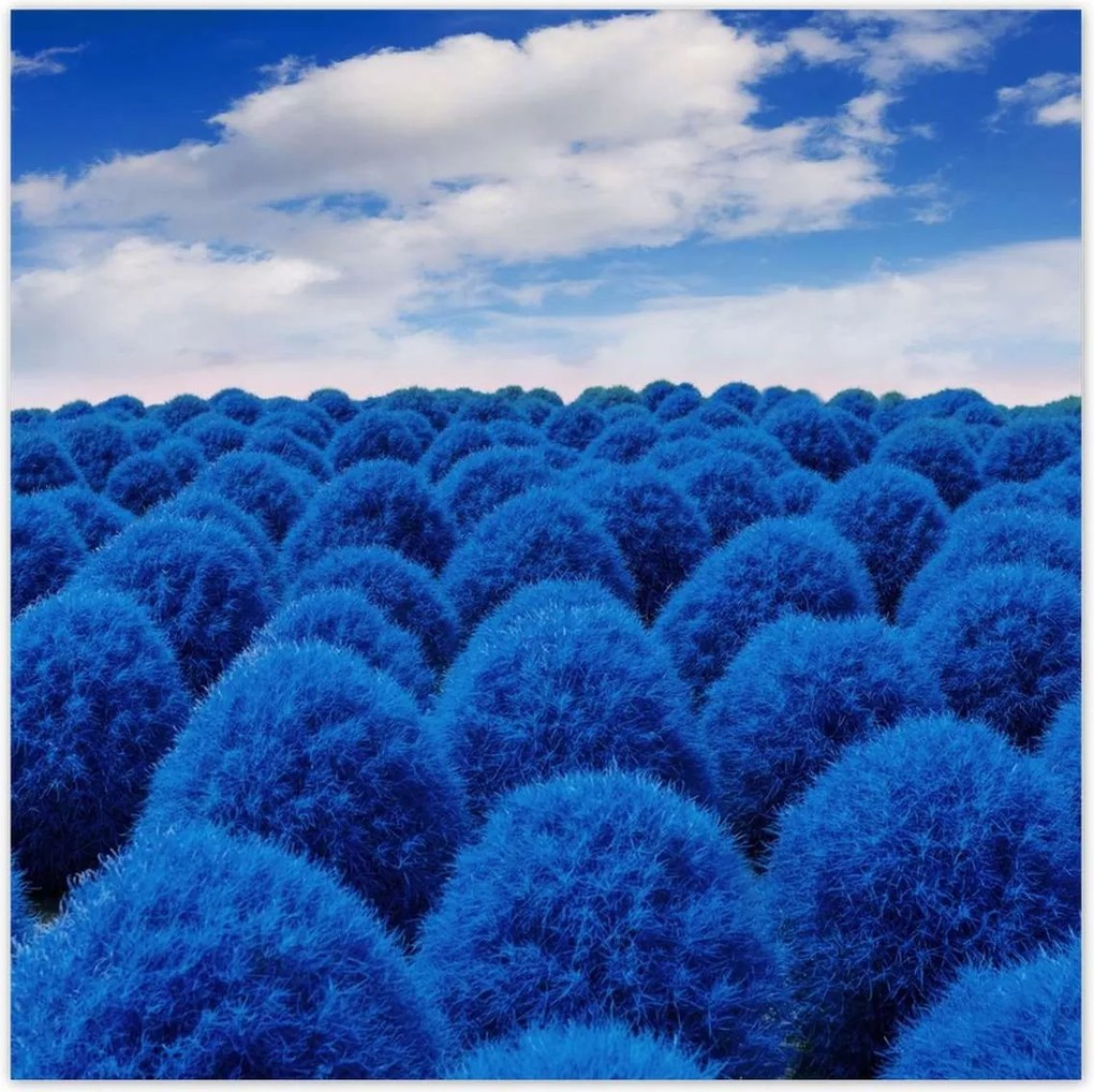 Poszterek 100x100 Klasszikus kék színben