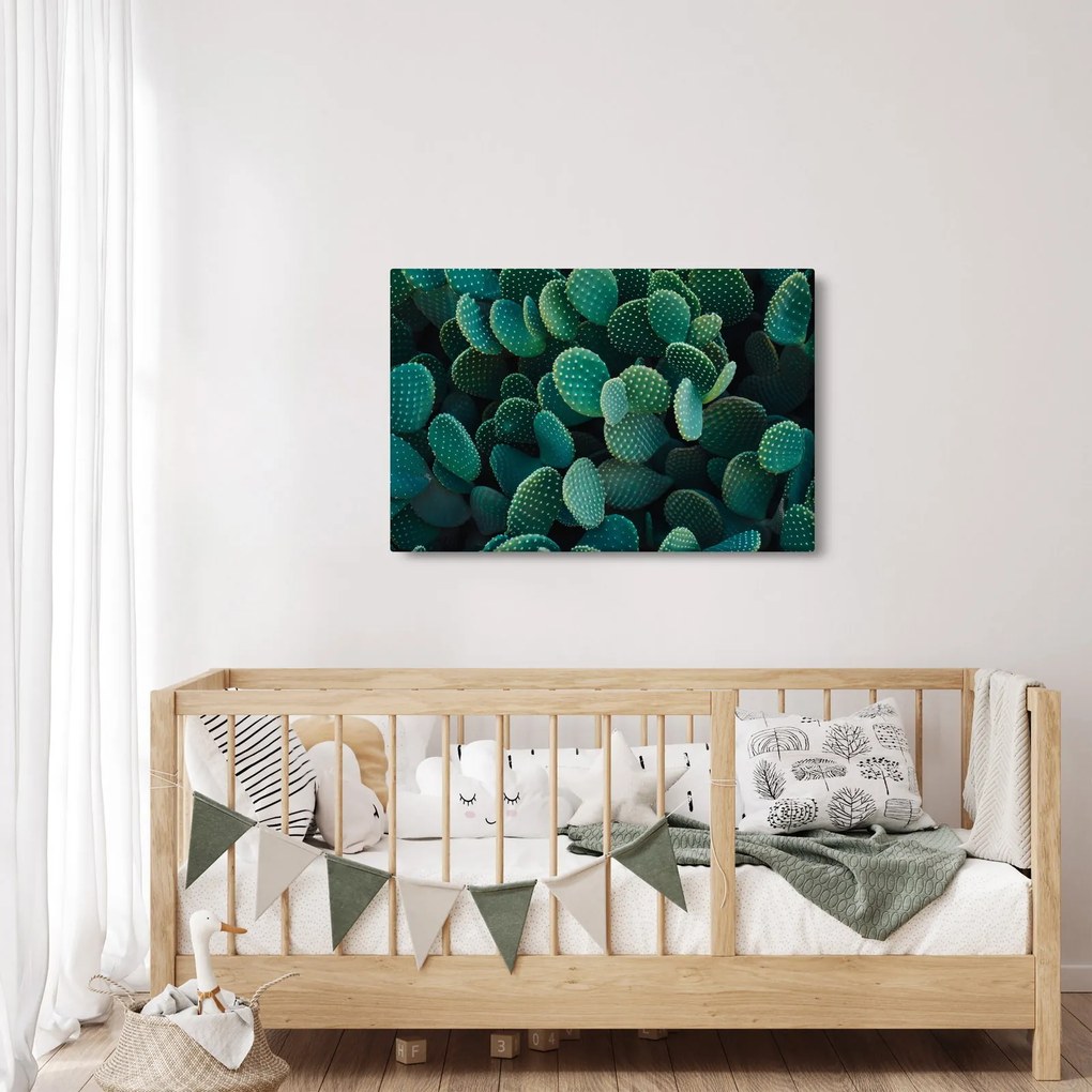 Kép - Opuntia (90x60 cm)