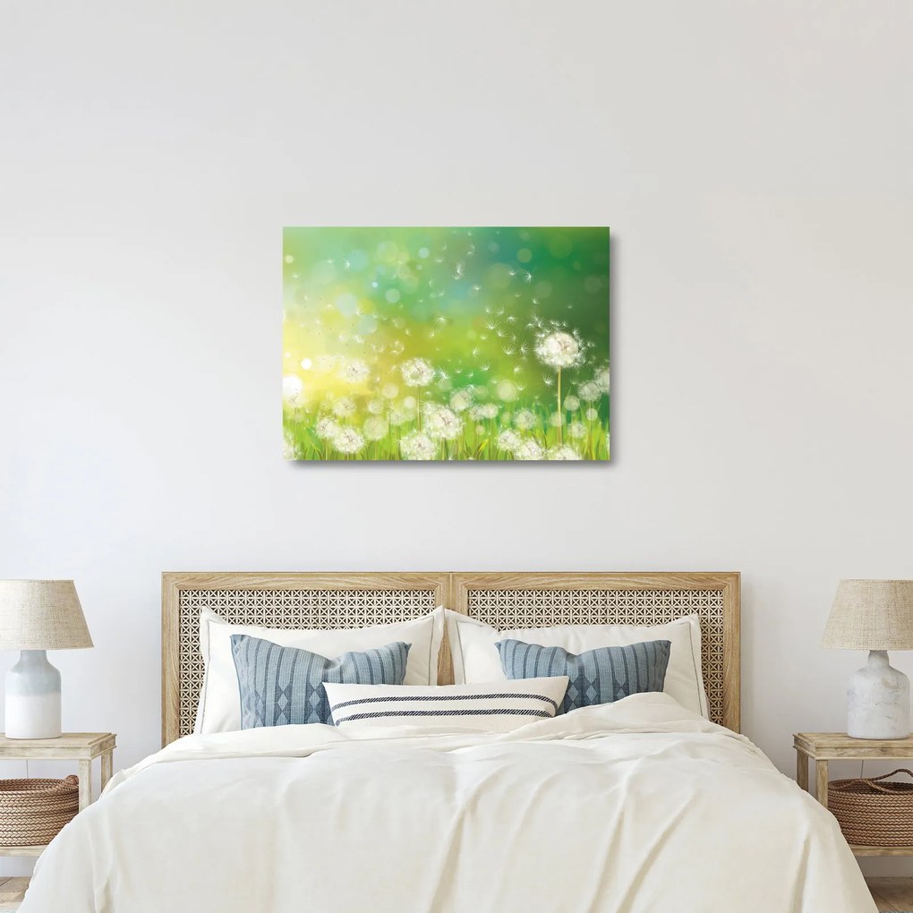 Kép - Virágozatlan pitypang (üvegen) (70x50 cm)