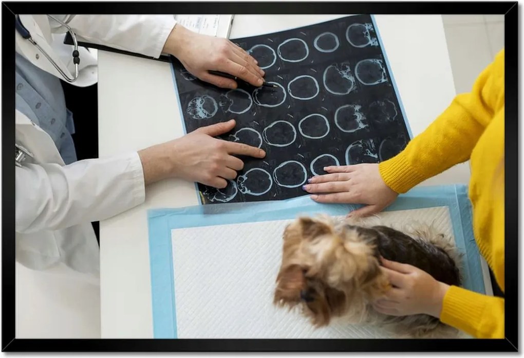 Poszterek keretben 60x40 Kutya a konzultáció során