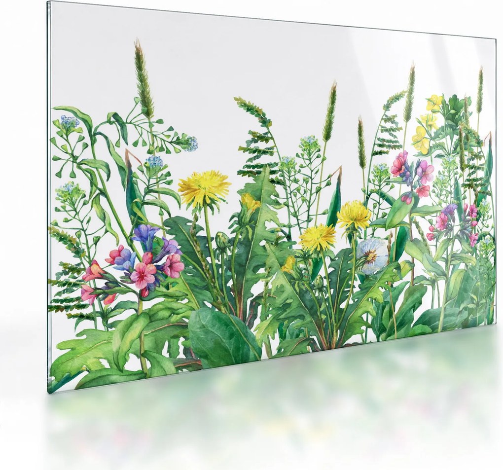 Üveg kép - Festett réti virágok (70x50 cm)