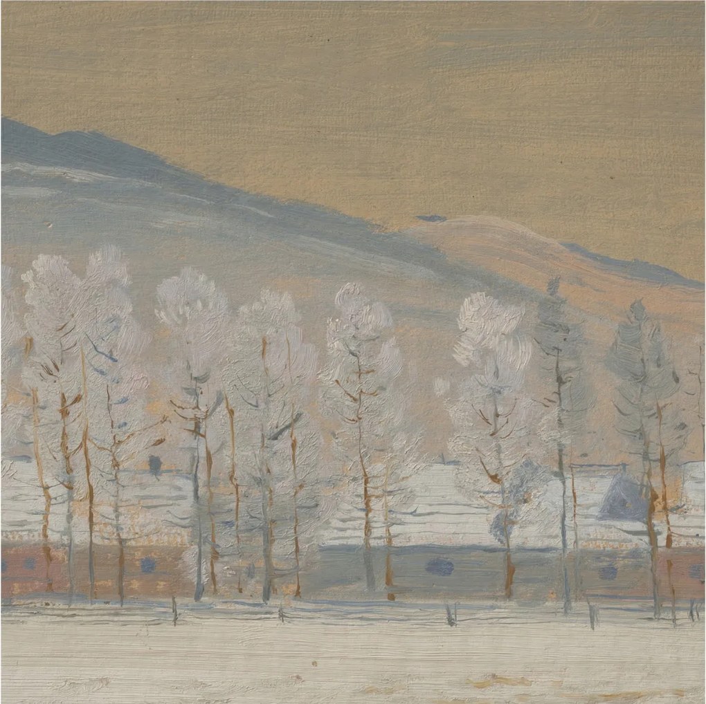 Fotótapéta Flizelin Dekoratív az irodába Téli táj 250x250 Ragasztó