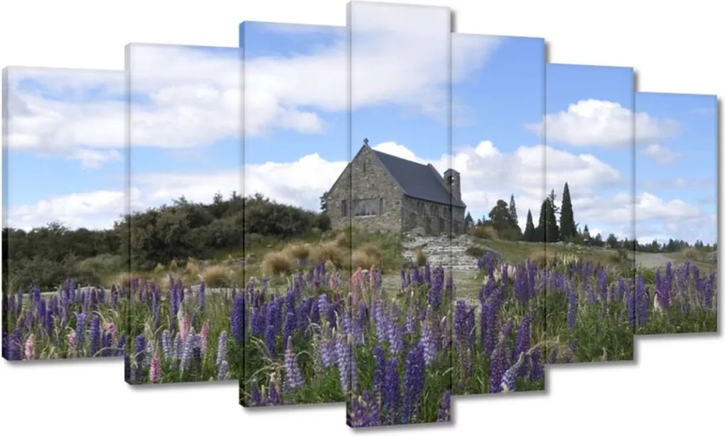 Vászonkép 140x80 Lila virágok domb