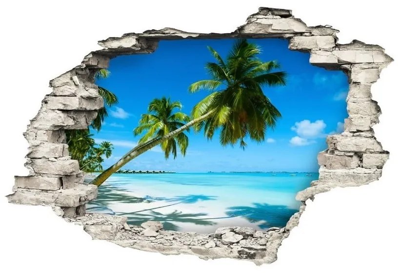 Landscape at a Beach falmatrica - Ambiance