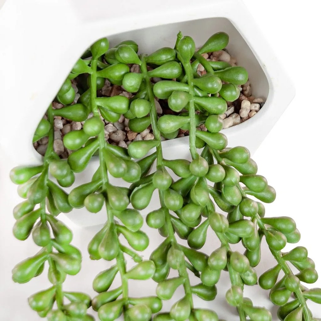 Műnövény, függő növény, kerámiában, 12,2 cm - REMPANTE