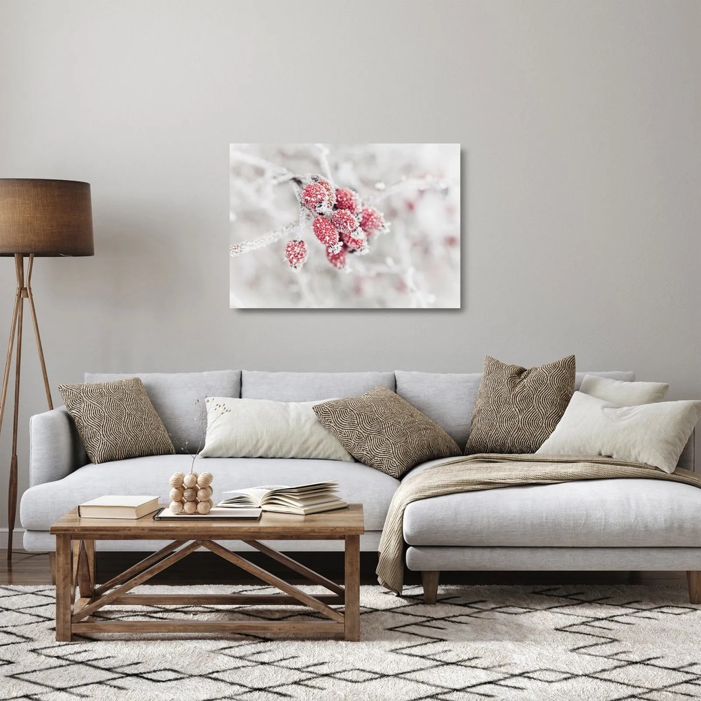 Kép - Fagyasztott gyümölcsök (üvegen) (70x50 cm)