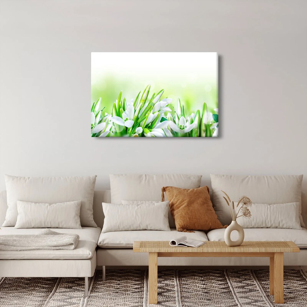 Kép - Hóvirág (90x60 cm)