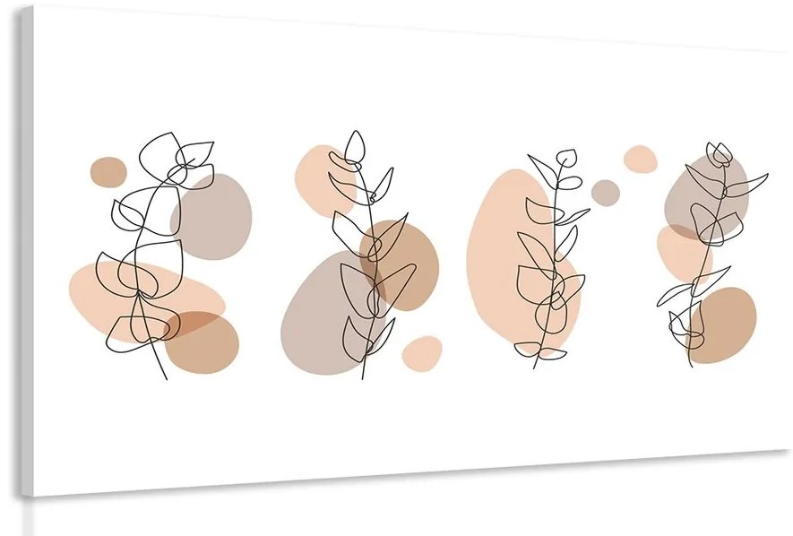 Kép minimalista csendélet növények